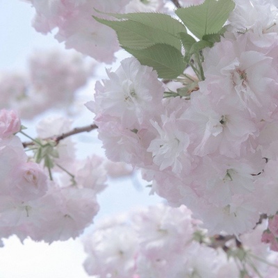 Furry绘画构图技巧FurryQQ群